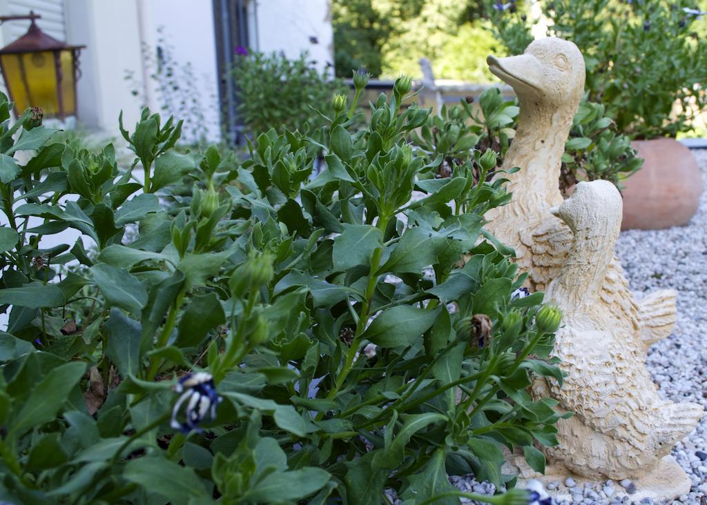 Hotel Am Hohenzollernplatz Bonn Dış mekan fotoğraf