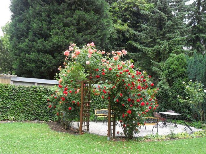 Hotel Am Hohenzollernplatz Bonn Dış mekan fotoğraf